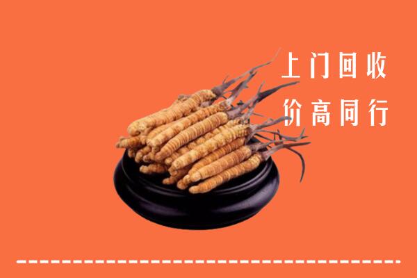 高价求购：吉安市永丰回收散虫草