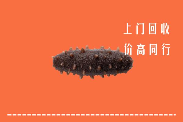 吉安市永丰回收海参