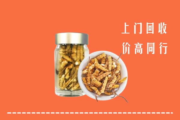 吉安市永丰回收冬虫夏草